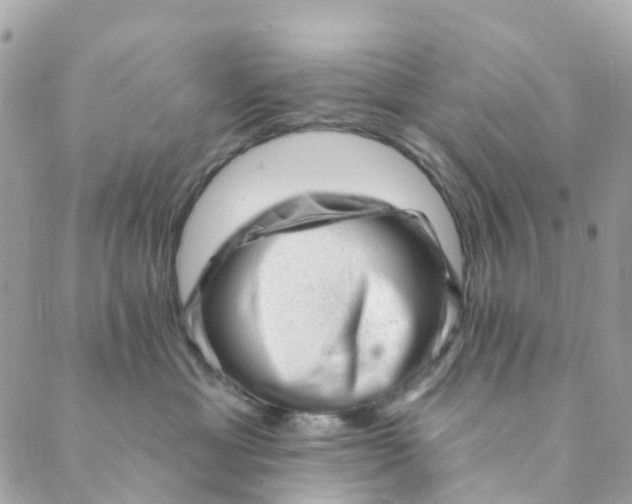 X0000088900429200706291509