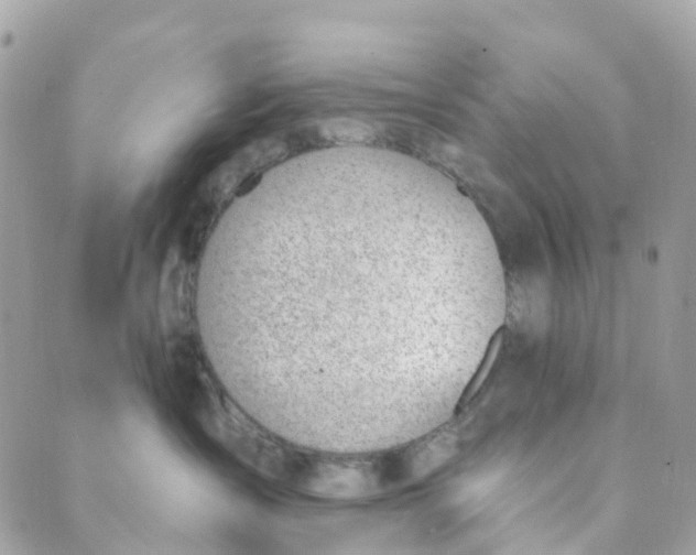 X0000088900431200706291509