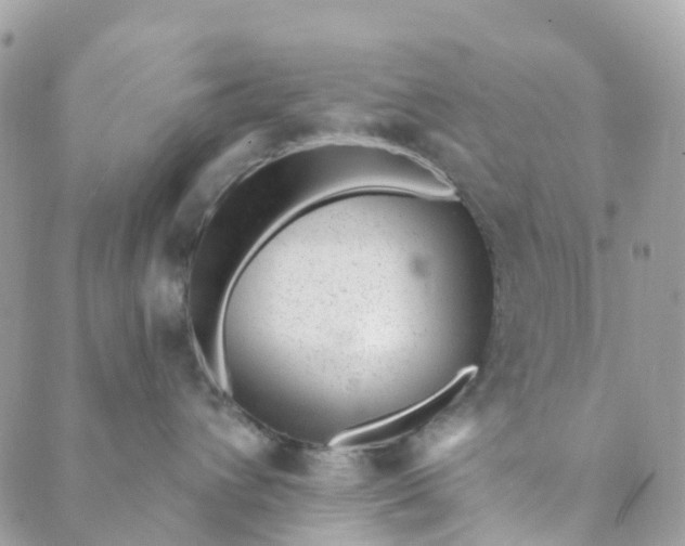 X0000088900432200706291509