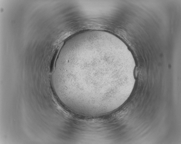 X0000088900433200706291508