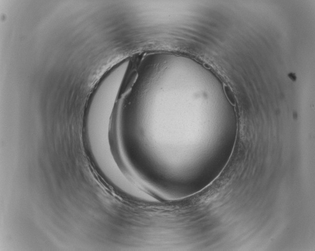 X0000088900434200706291508