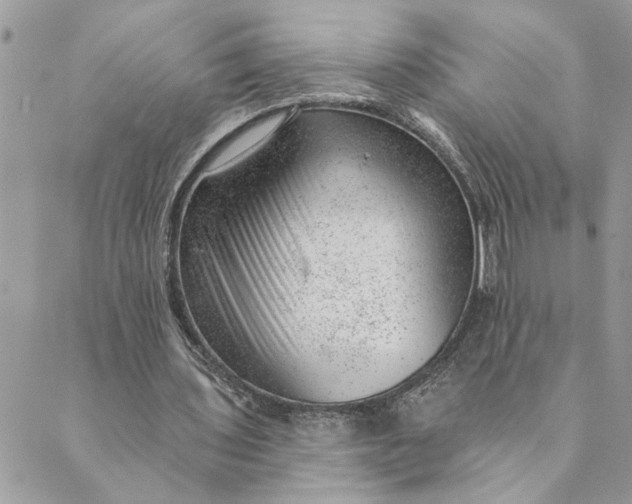 X0000088900435200706291508