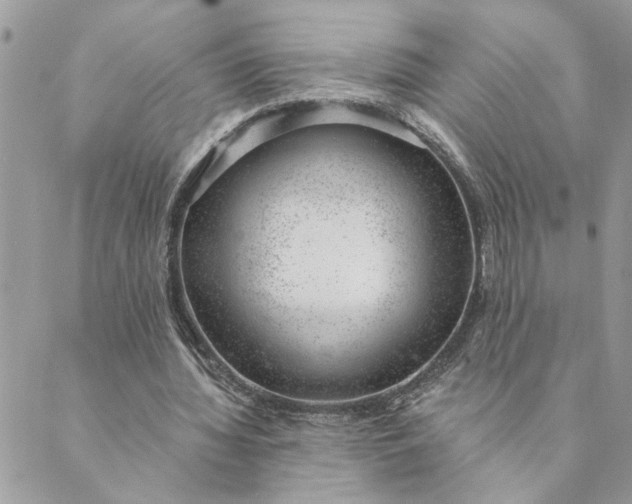 X0000088900436200706291508