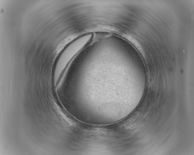 X0000088900437200706291508