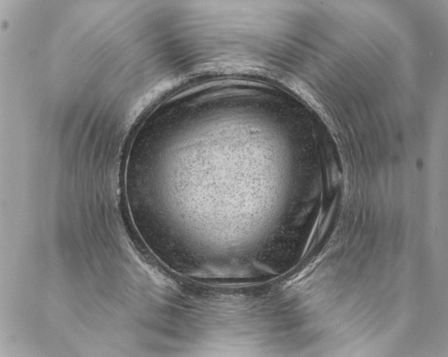 X0000088900438200706291508