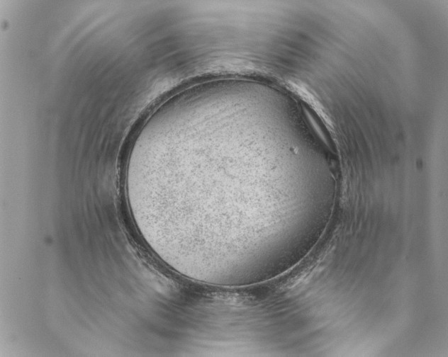 X0000088900439200706291508