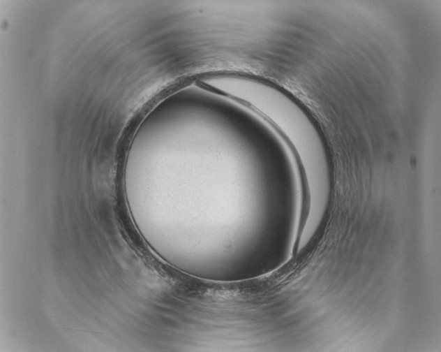 X0000088900440200706291508