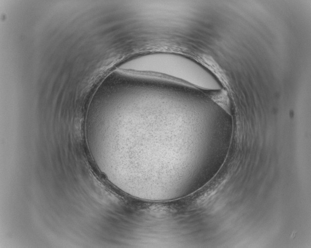 X0000088900441200706291508