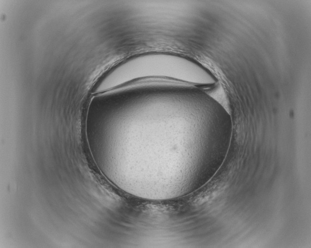 X0000088900442200706291508