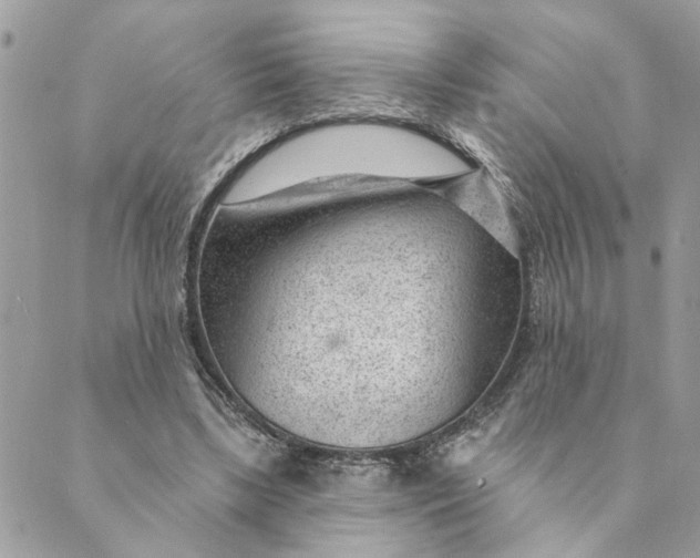 X0000088900443200706291508