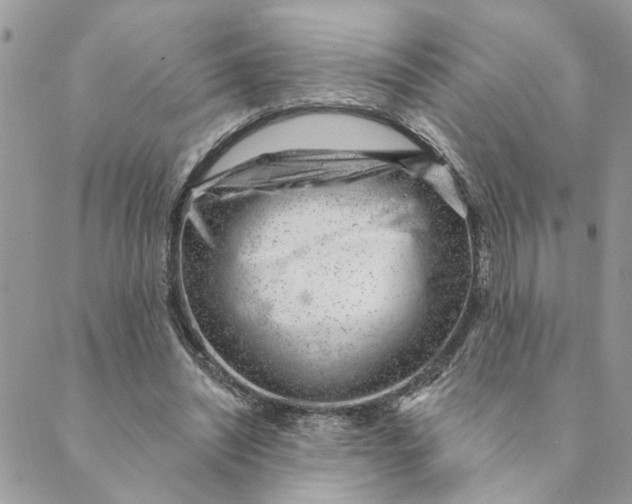 X0000088900444200706291508