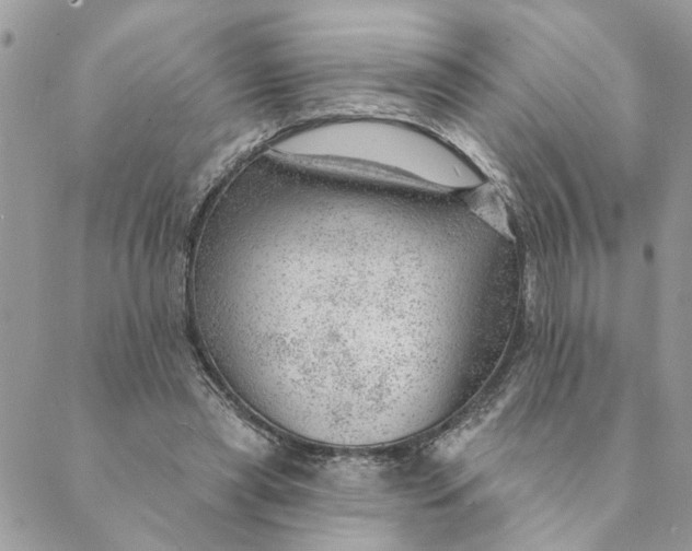 X0000088900445200706291508