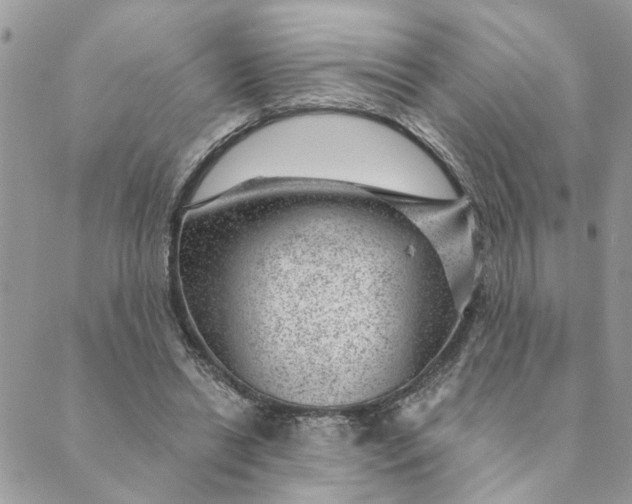 X0000088900446200706291508