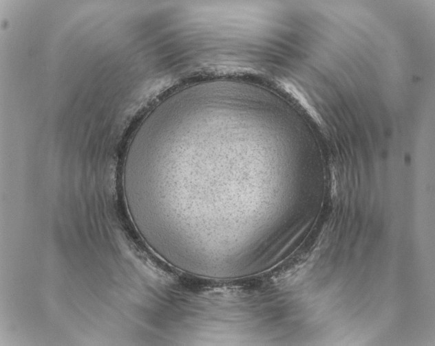 X0000088900447200706291508