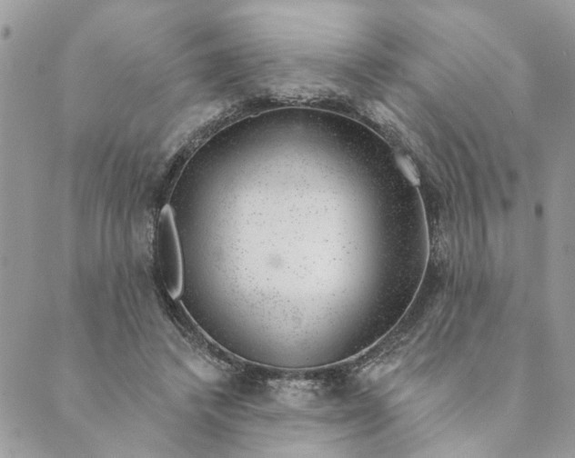 X0000088900448200706291508