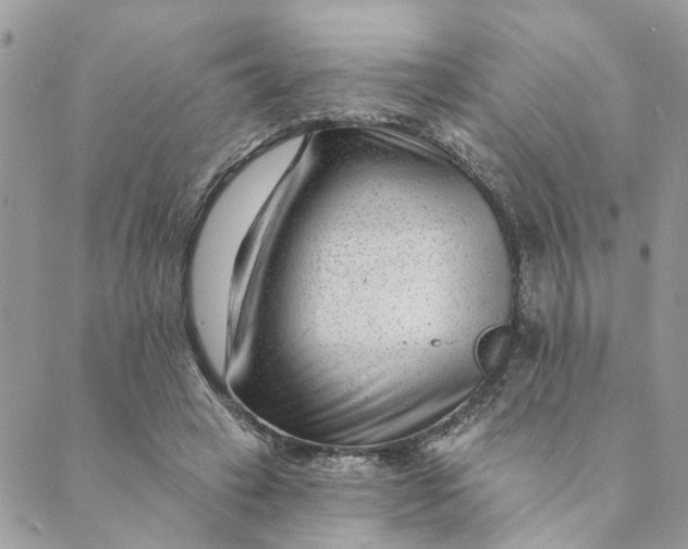 X0000088900449200706291509