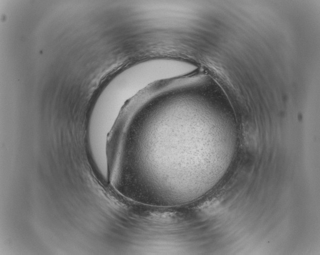 X0000088900450200706291509