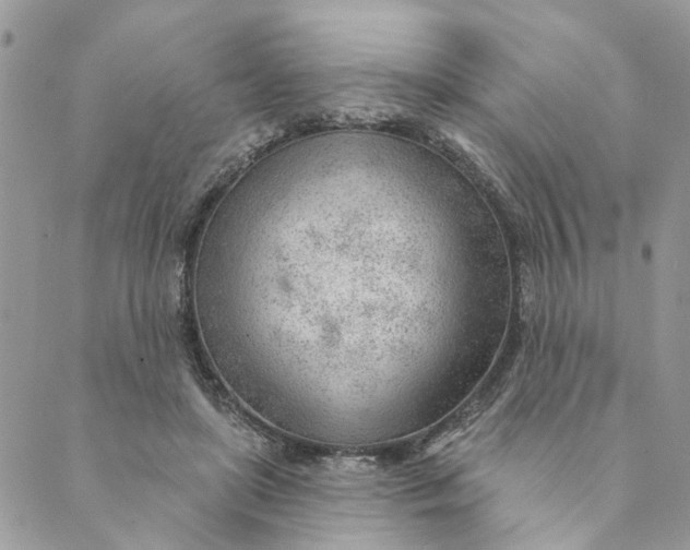 X0000088900451200706291509