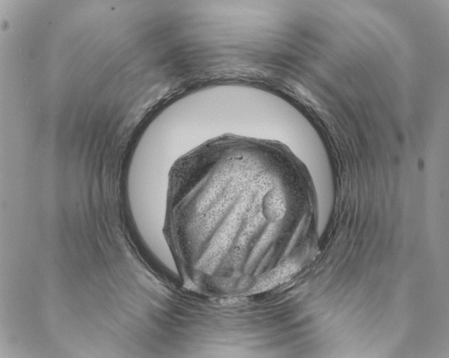 X0000088900452200706291509