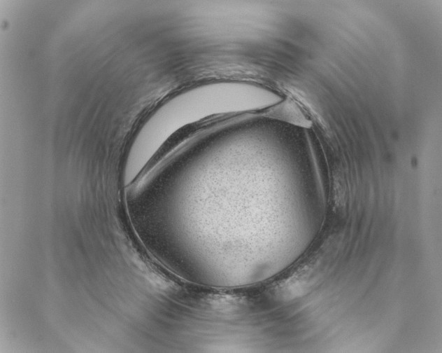 X0000088900453200706291509