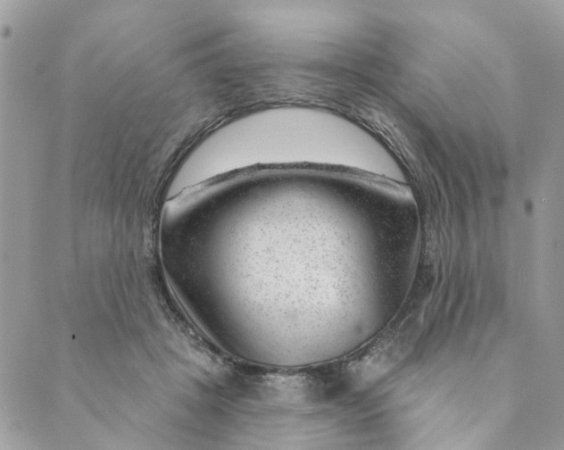 X0000088900457200706291509