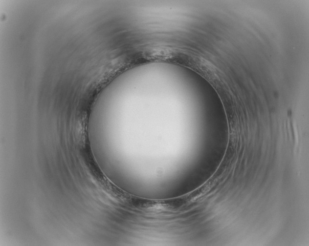 X0000088900460200706291509