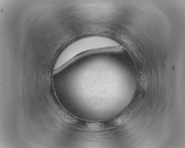 X0000088900461200706291509