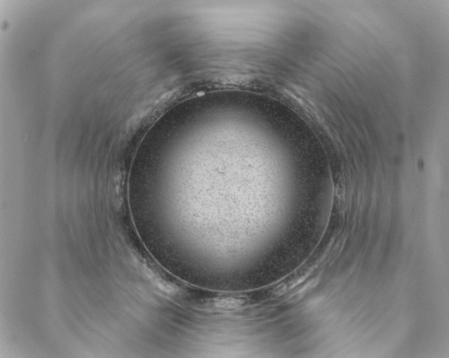 X0000088900462200706291509