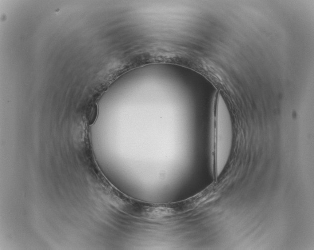 X0000088900463200706291509