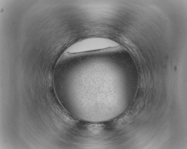 X0000088900465200706291509