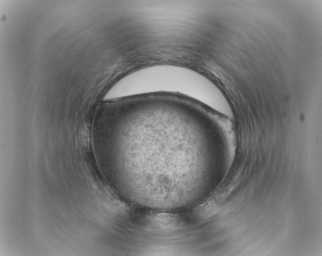 X0000088900467200706291509