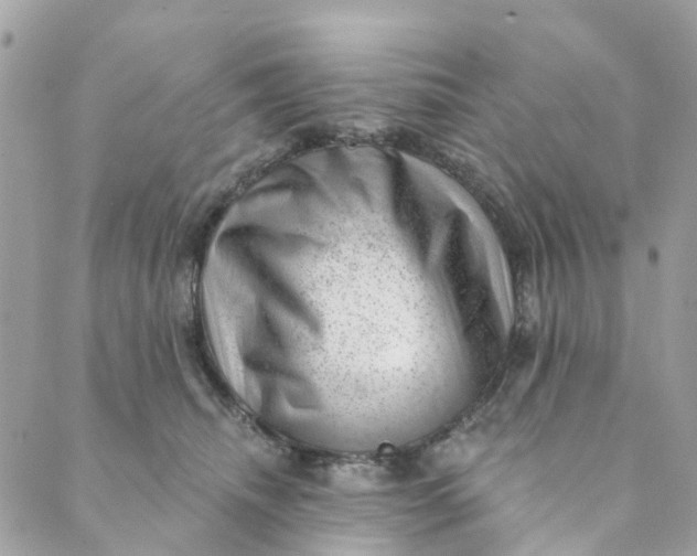 X0000088900468200706291509