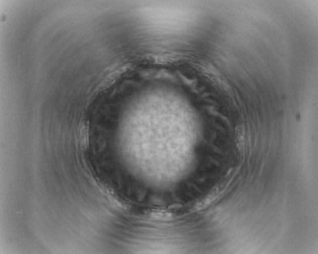 X0000088900471200706291509