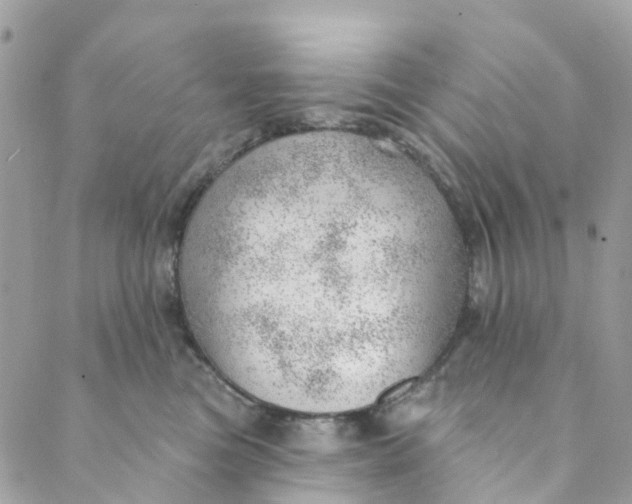 X0000088900473200706291509