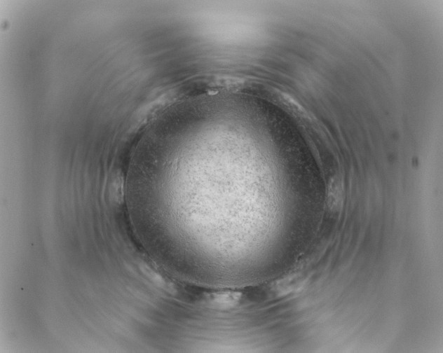 X0000088900474200706291509