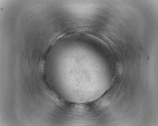 X0000088900475200706291509