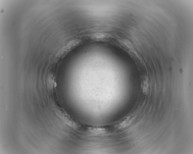 X0000088900476200706291509