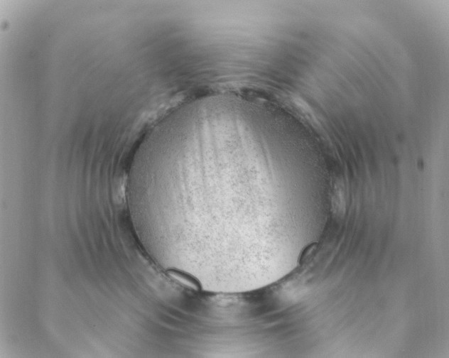 X0000088900477200706291509