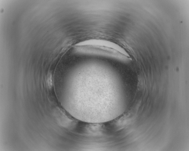 X0000088900479200706291509