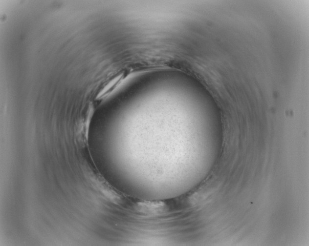 X0000088900480200706291509