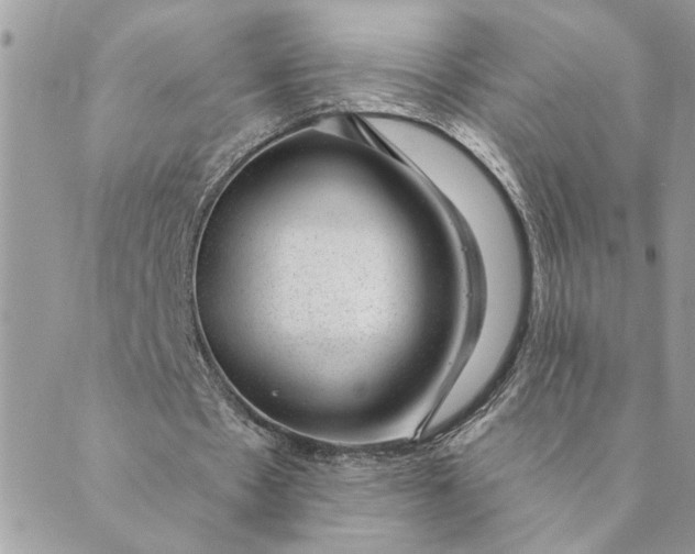 X0000088900481200706291508