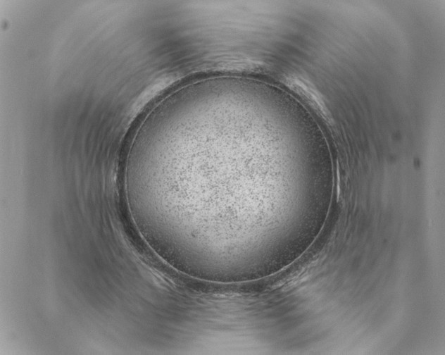 X0000088900483200706291508