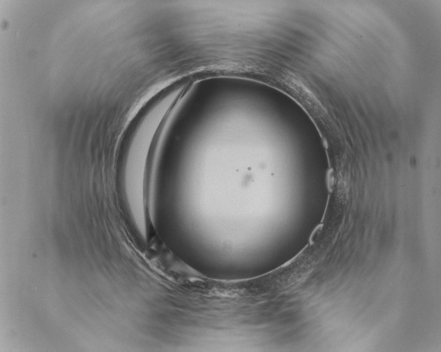 X0000088900484200706291508