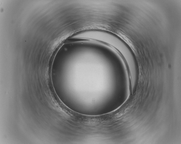 X0000088900485200706291508