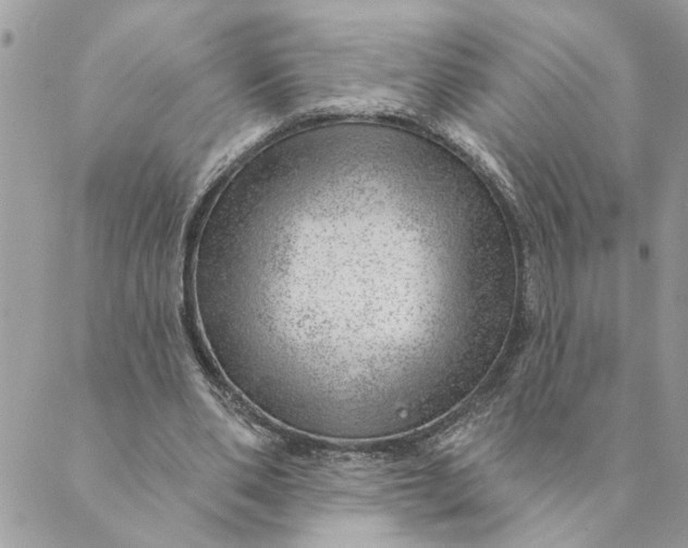 X0000088900486200706291508