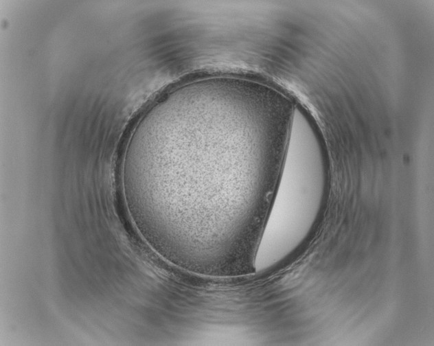 X0000088900487200706291508