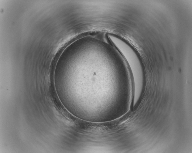 X0000088900488200706291508