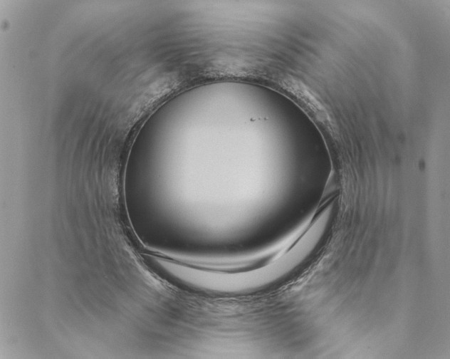 X0000088900489200706291508