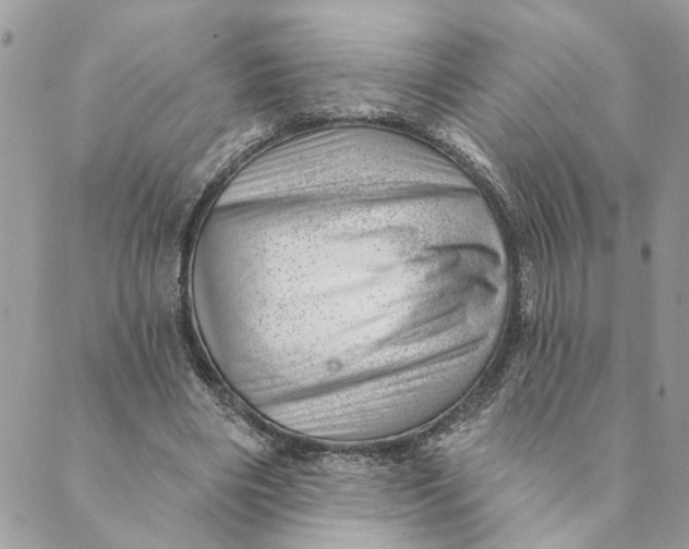 X0000088900490200706291508