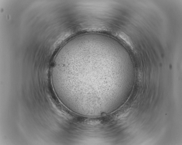 X0000088900491200706291508